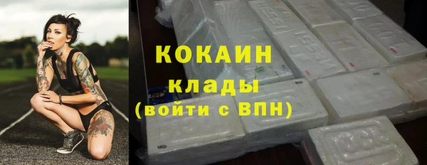 гидра Бронницы