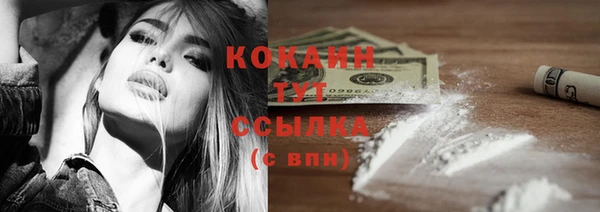PSILOCYBIN Бугульма