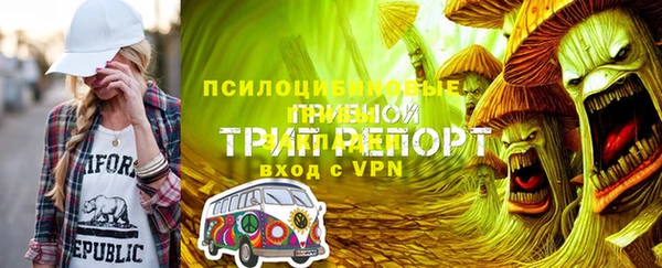 PSILOCYBIN Бугульма
