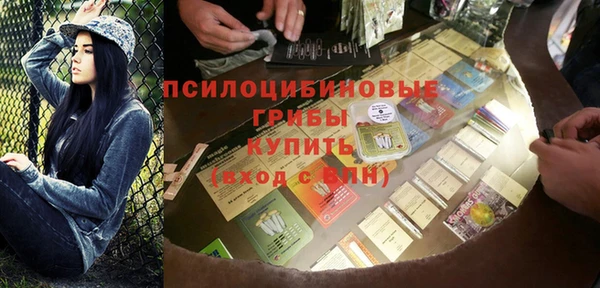 гидра Бронницы