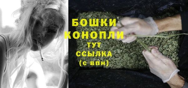 PSILOCYBIN Бугульма